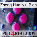 Zhong Hua Niu Bian 02